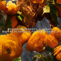 Aqua Allegoria Mandarine Basilic Forte  125ml-206763 Aqua Allegoria Mandarine Basilic Forte  125ml-206763 2